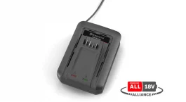 CARGADOR ASPIRE P4A C100